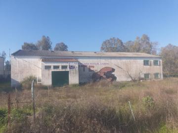 Nave Industrial de 6000 m<sup style='color: #898ba2;'>2</sup> en Casar de Cáceres.